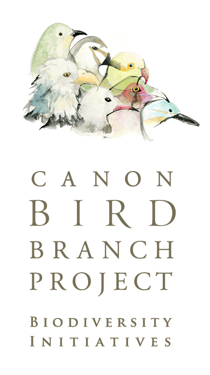 Canon Bird Branch Project Biodiversity Initiatives About The Canon