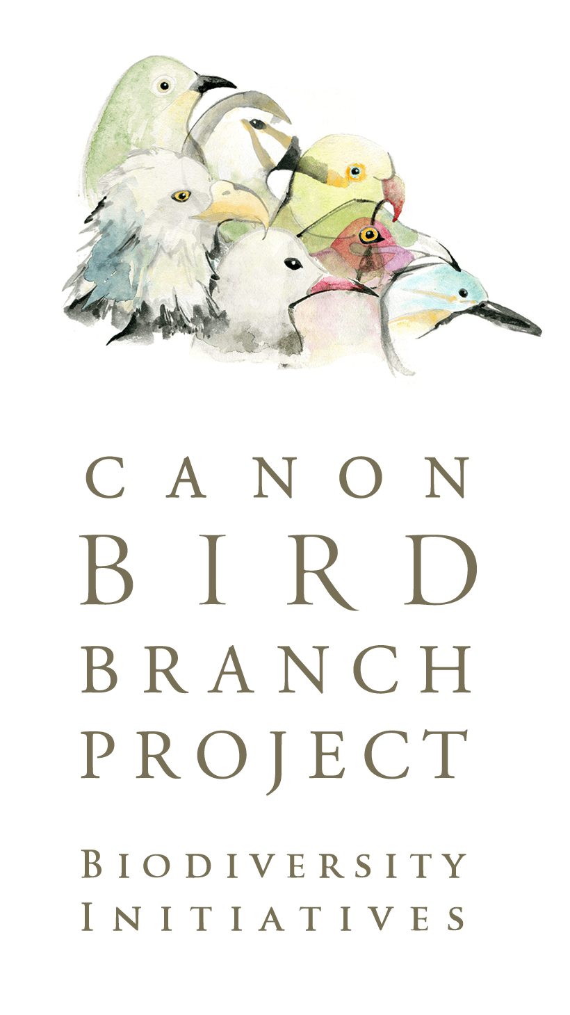 Canon Bird Branch Project Biodiversity Initiatives About The Canon