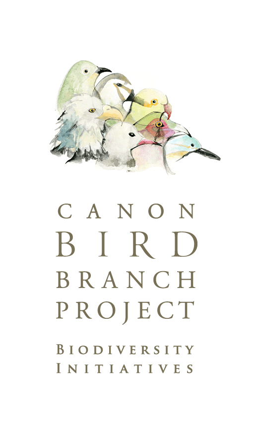 CANON BIRD BRANCH PROJECT | Biodiversity Initiatives