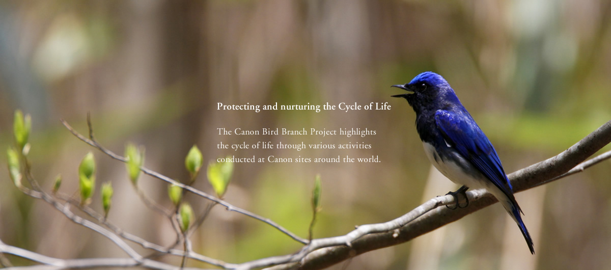 Canon Bird Branch Project Biodiversity Initiatives
