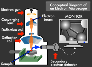 illust:Conceptual Diagram of an Electron Microscope