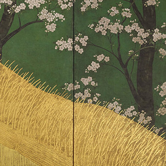 Court Ladies among Cherry Trees /Cherry Blossoms, a High Fence, and Attendants