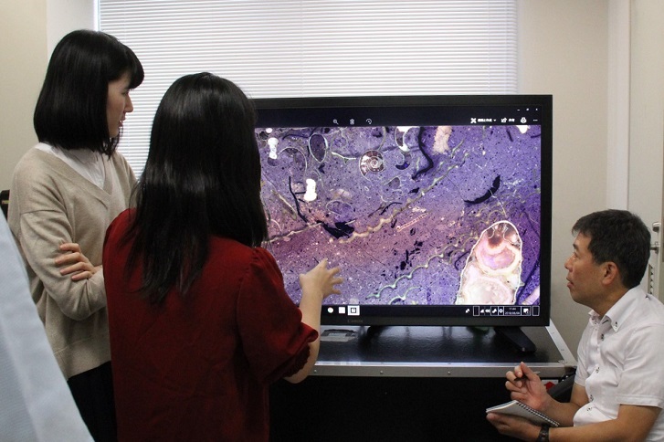 北海道大学におけるキヤノンの8Kディスプレイによる試料の観察
