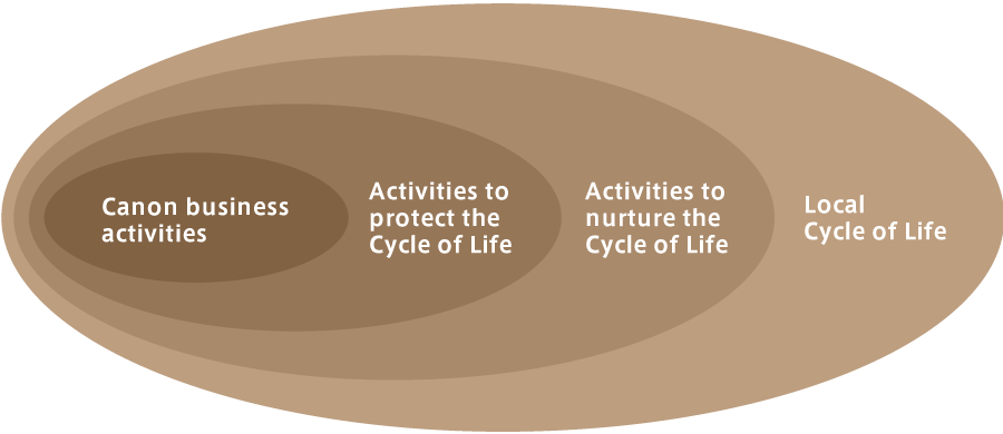 Conceptual diagram of biodiversity