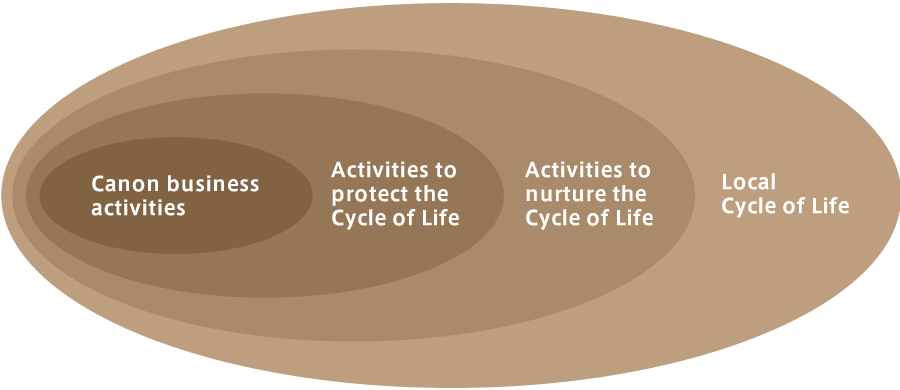 Conceptual diagram of biodiversity