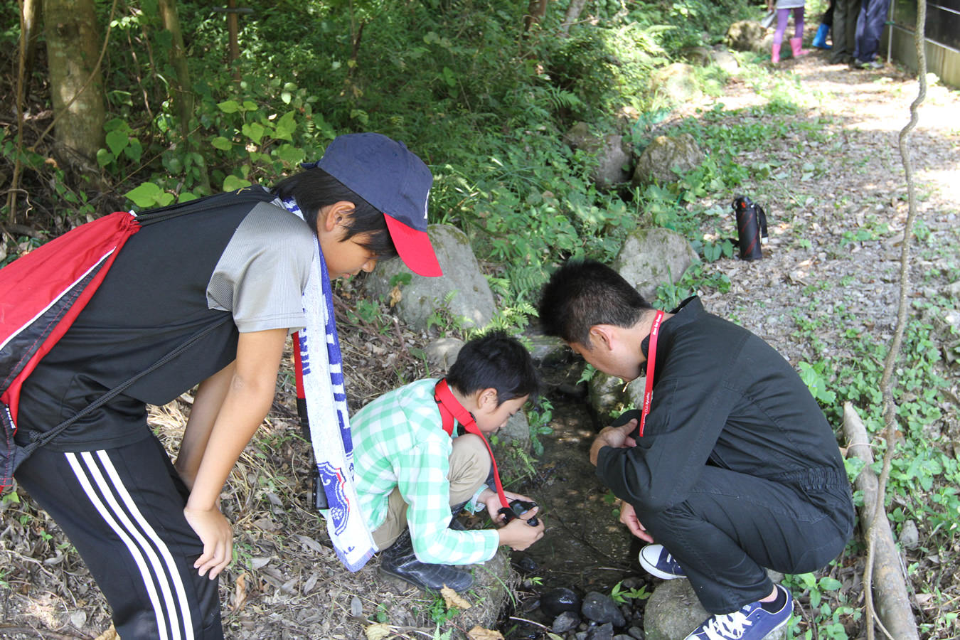 Canon Bird Branch Project | Biodiversity Initiatives | Activities at