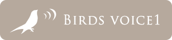 Birds voice 1