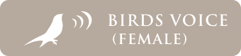 Birds voice (female)