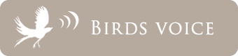 Bird voice
