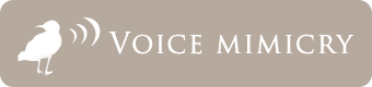 Voice Mimicry