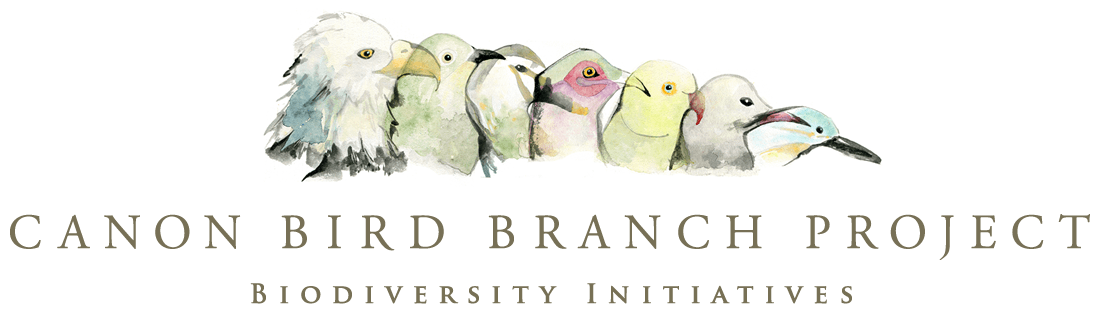 CANON BIRD BRANCH PROJECT | Biodiversity Initiatives
