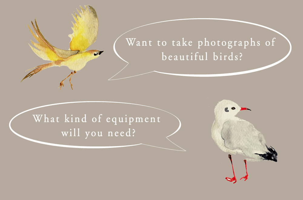 good camera for taking pictures of birds