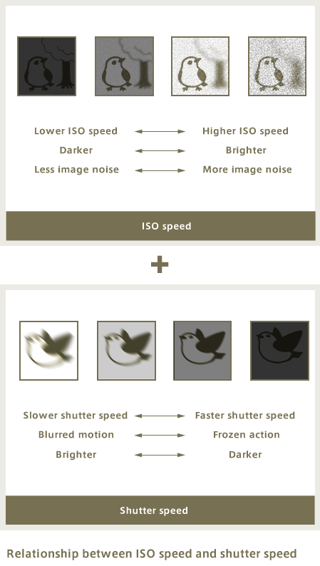 Relationship between ISO speed and shutter speed