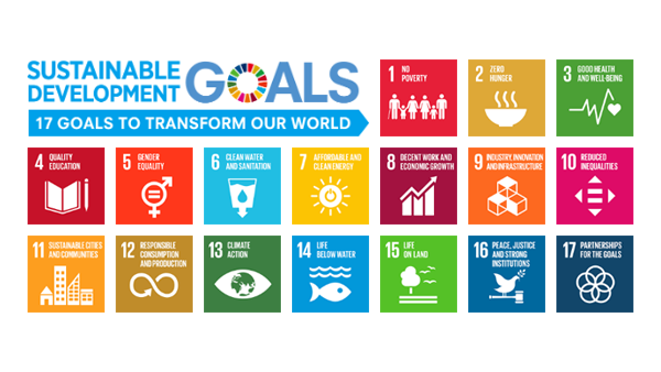 Relationship with SDGs