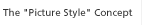 The "Picture Style" Concept