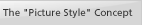 The "Picture Style" Concept