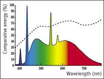 Graph : D50 fluorescent color-evaluation lamp
