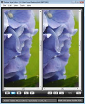 Picture : Same size display