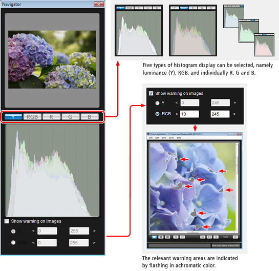 canon picture style editor software