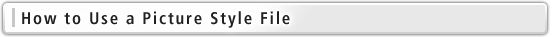 How to Use a Picture Style File