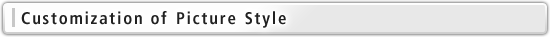 Customization of Picture Style