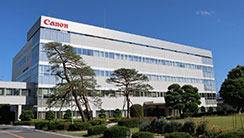 The appearance of Ami Plant