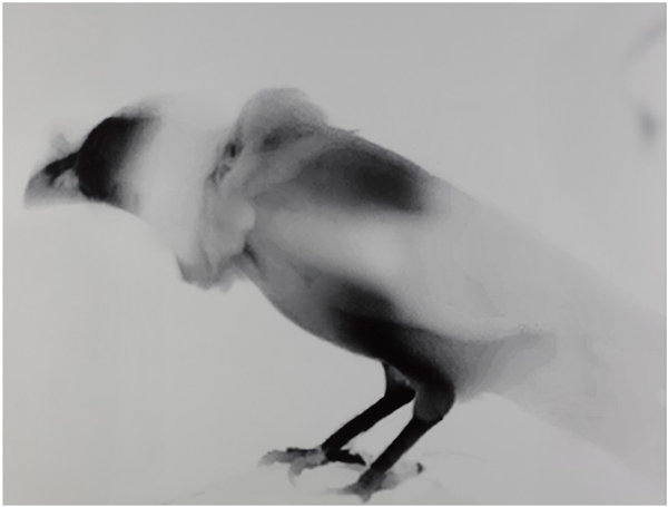 Tamaki Yoshida “Sympathetic Resonance” Selected by Noi Sawaragi