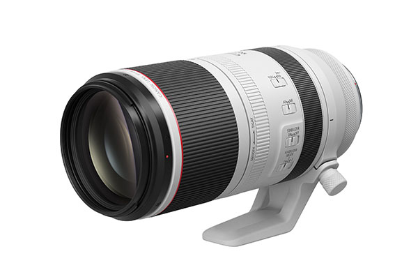 RF100-500mm F4.5-7.1 L IS USM Interchangeable lens