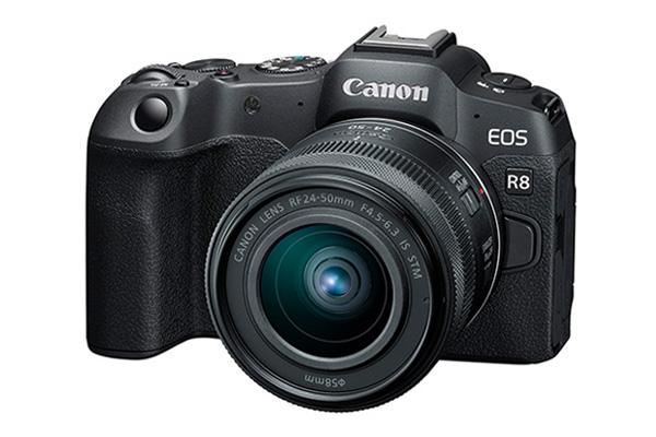 EOS R6 Mark II vs EOS R6 vs EOS 6D Mark II - Canon Europe