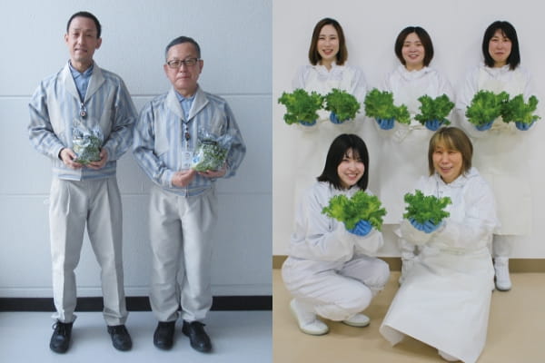 Staff involved in automatic machine development and lettuce growing