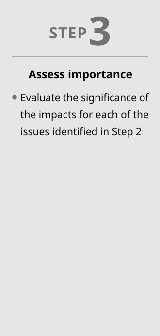 STEP3 Assess importance:  Evaluate the significance of the impacts for each of the issues identified in Step 2