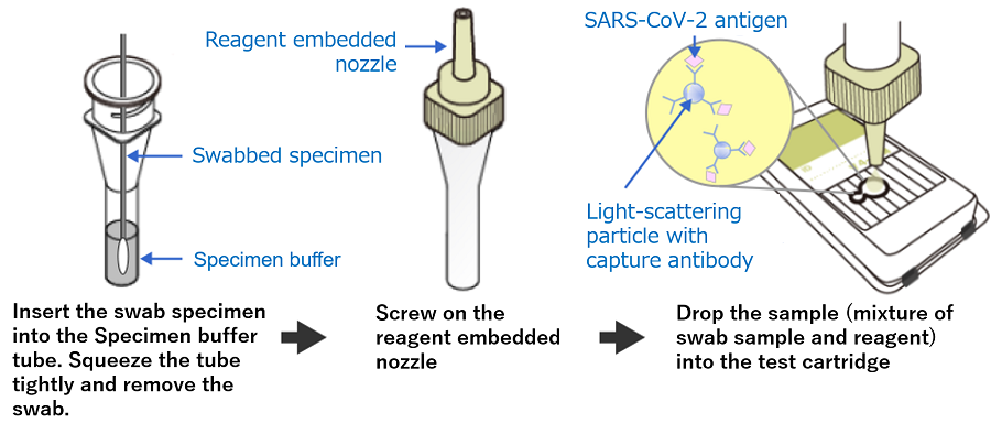 Illustration showing a sample—created by mixing a specimen collected from a patient with reagents—being dispensed into a cartridge
