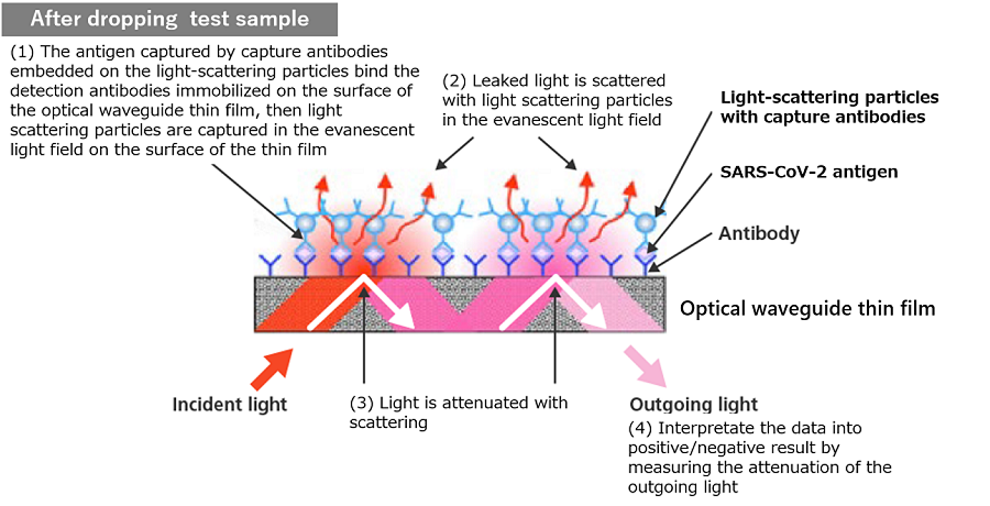 Picture of how the results are determined based on the attenuation of light emitted from the optical waveguide film in the cartridge