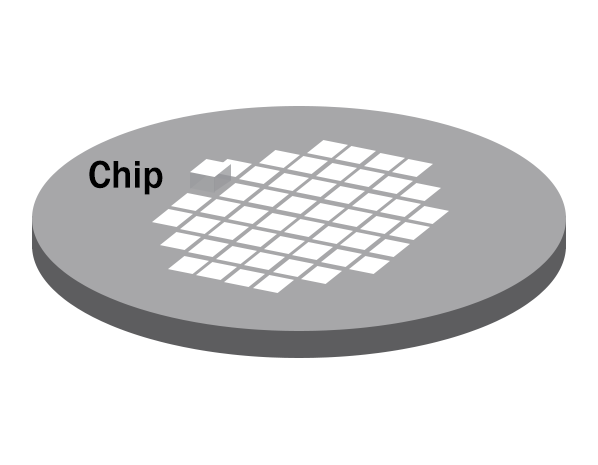 Dicing the chips