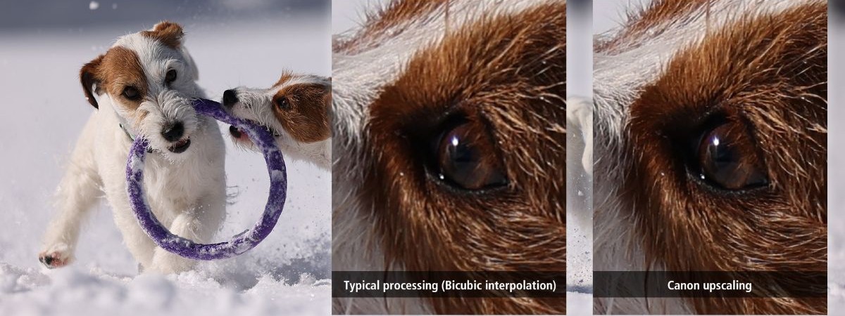 Neural Network Upscaling Technology Main Visual