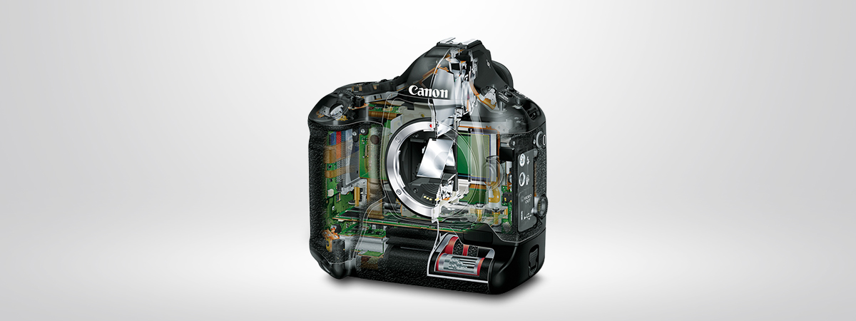 Digital SLR Cameras