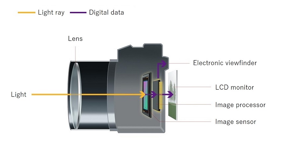 Schematic diagram of a pentaprism