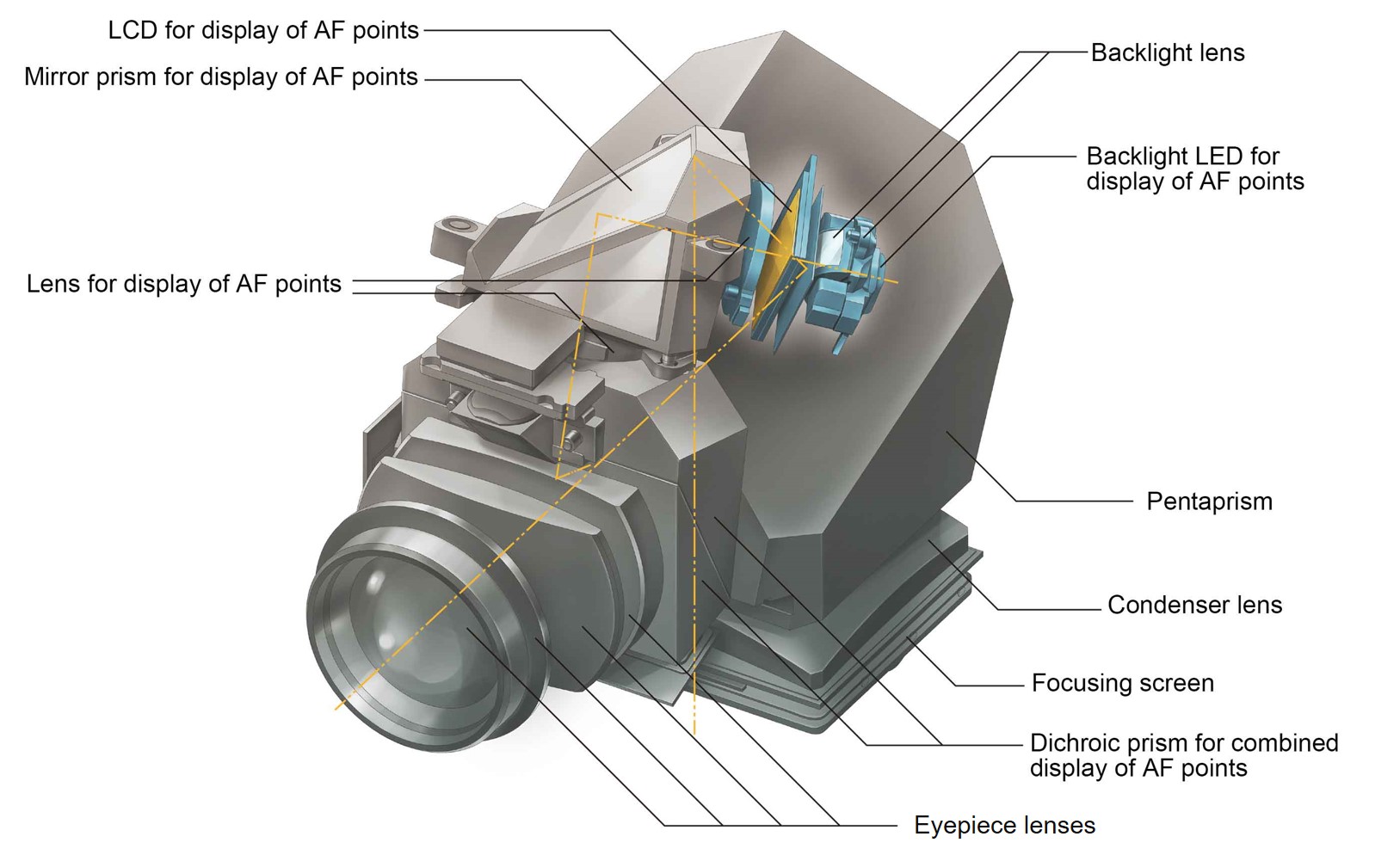 Diagram illustrating the optical unit of the EOS-1D X Mark III.