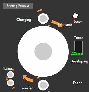 The Video explaining the print process, including charging, exposure, development, transfer, and fixing.