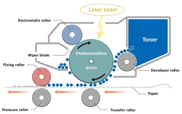 Cross-sectional view of the printer portion of a laser printer