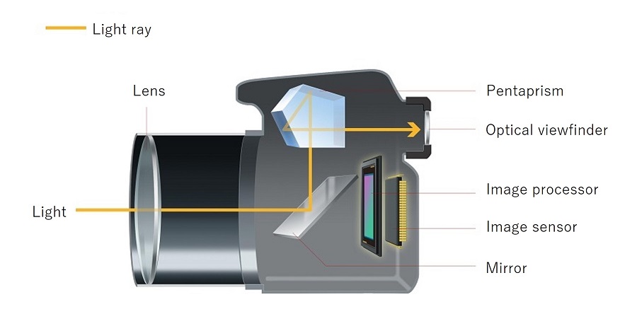 Diagram of an SLR camera