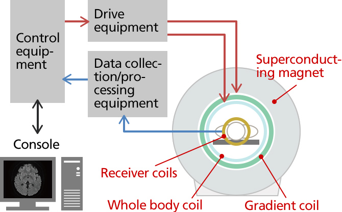 How magnetic fields and radio waves are used to perform imaging of the human body

