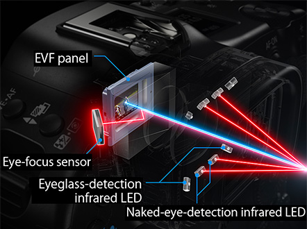 Illustration showing highly accurate eye detection using infrared LED illumination.