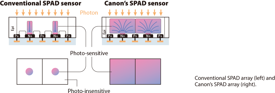 Differences between the cross‑sectional and planar structures of conventional SPAD sensors and Canon's SPAD sensor