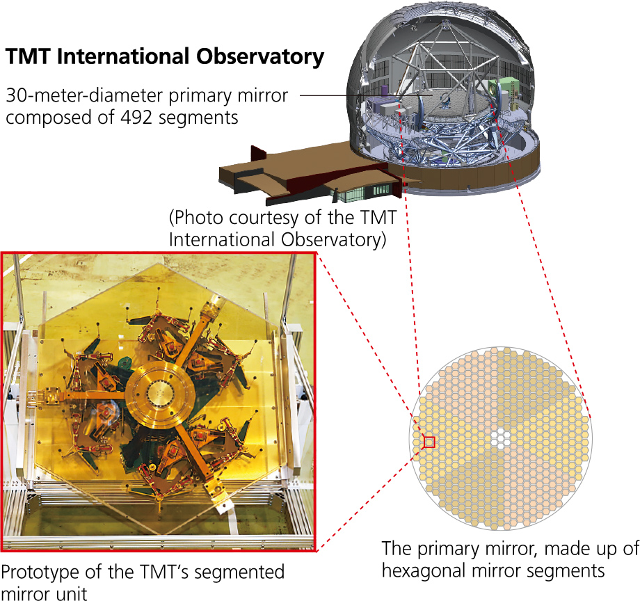 TMT International Observatory