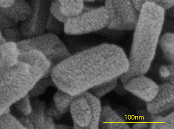 Electron microscopic image of pigment crystals