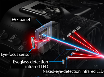 Irradiation of infrared LED detects pupils precisely.