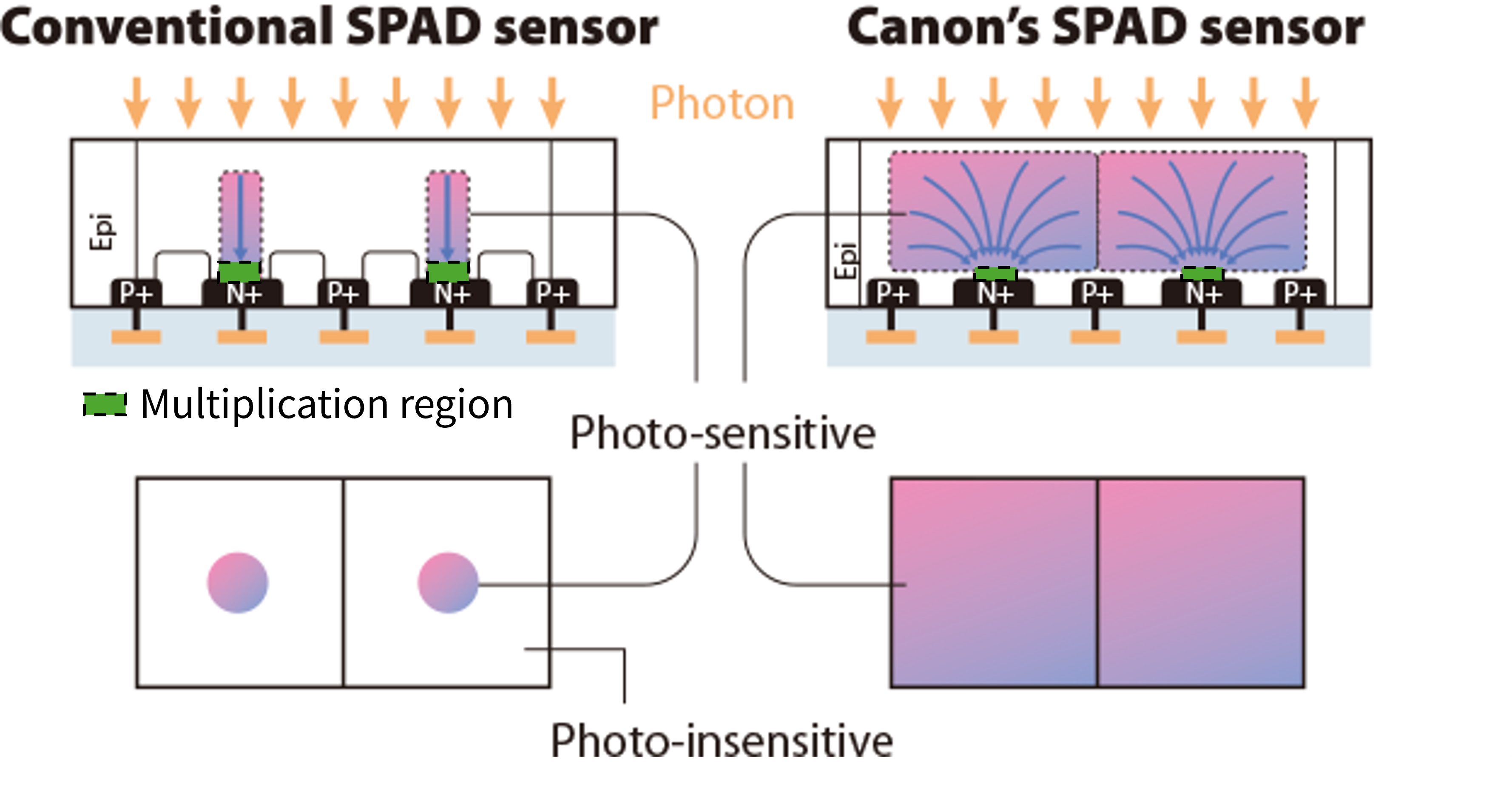 Comparison of conventional SPAD sensors and Canon SPAD sensors