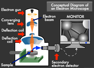 Canon : Canon Technology, Canon Science Lab