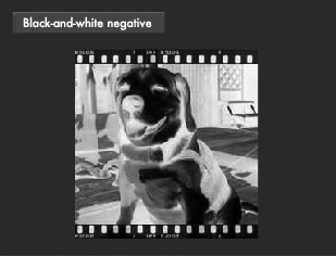 Photo:Black-and-white negative